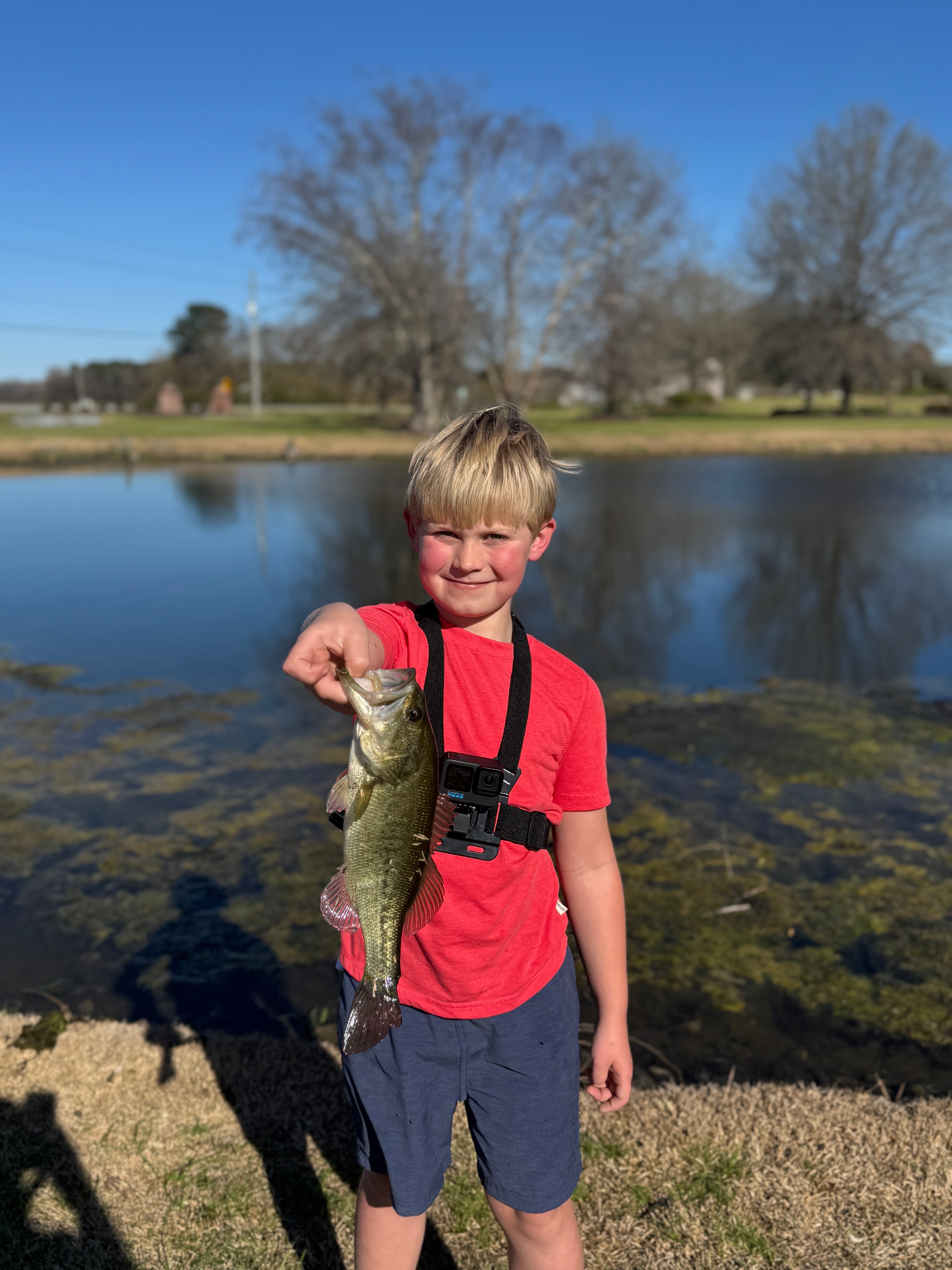 After School Bass and Bluegill – Fox Hollow Outdoors